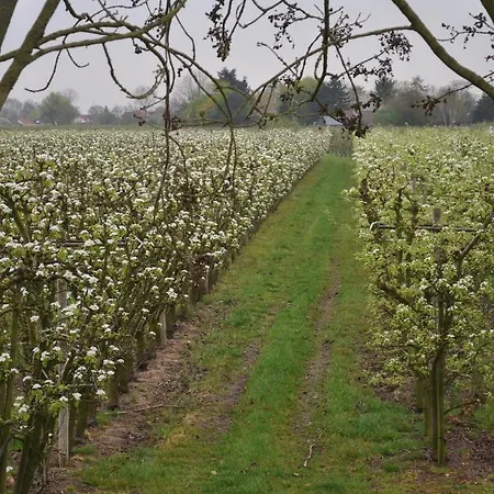 Buren Buren (Gelderland)